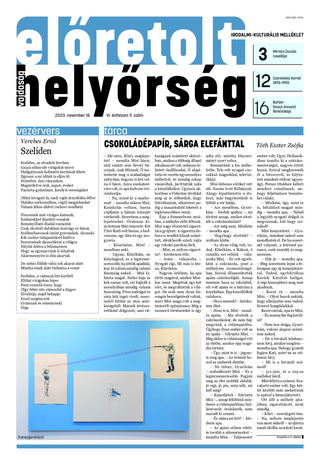 6. évfolyam 11. szám 