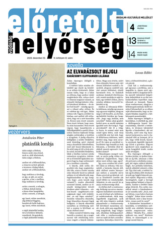 6. évfolyam 12. szám 